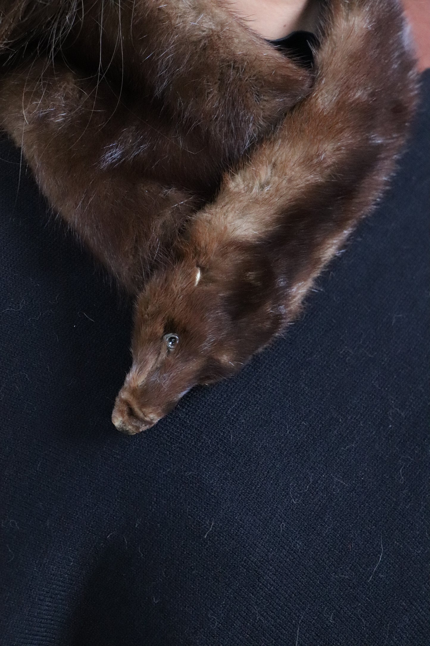 Cuello visón 50