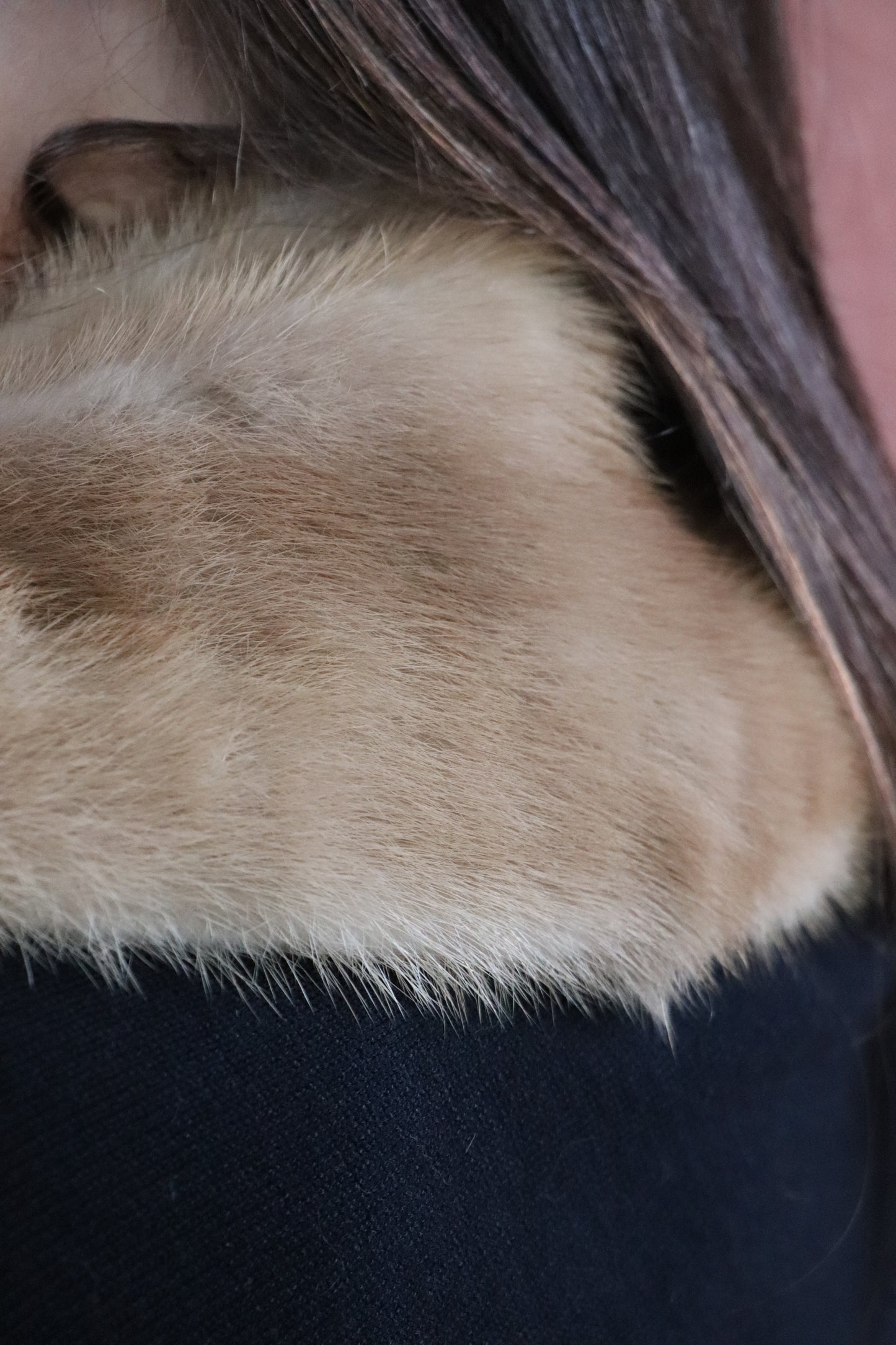 Cuello visón 47
