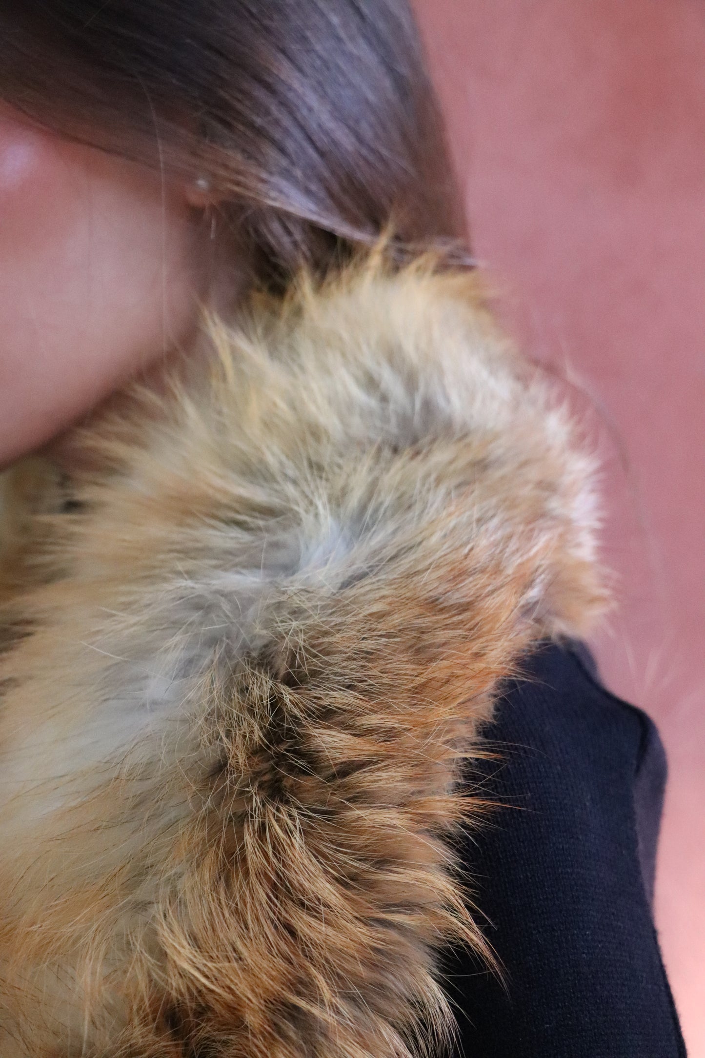 Cuello Zorro 05