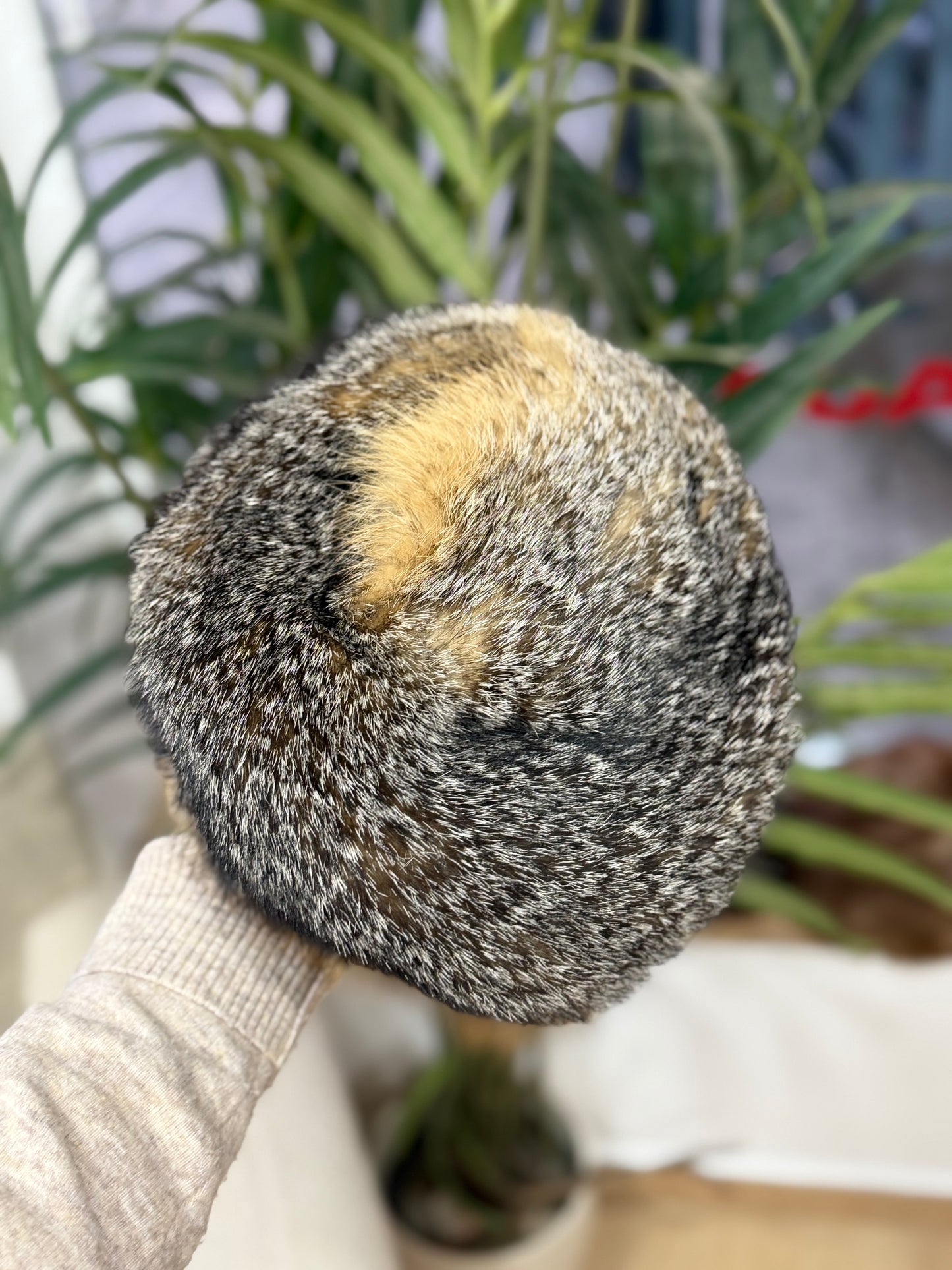 Gorrito zorro 01